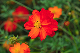 image0150