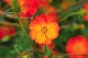 image0151