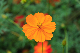 image0154