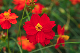 image0155
