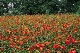 image0157