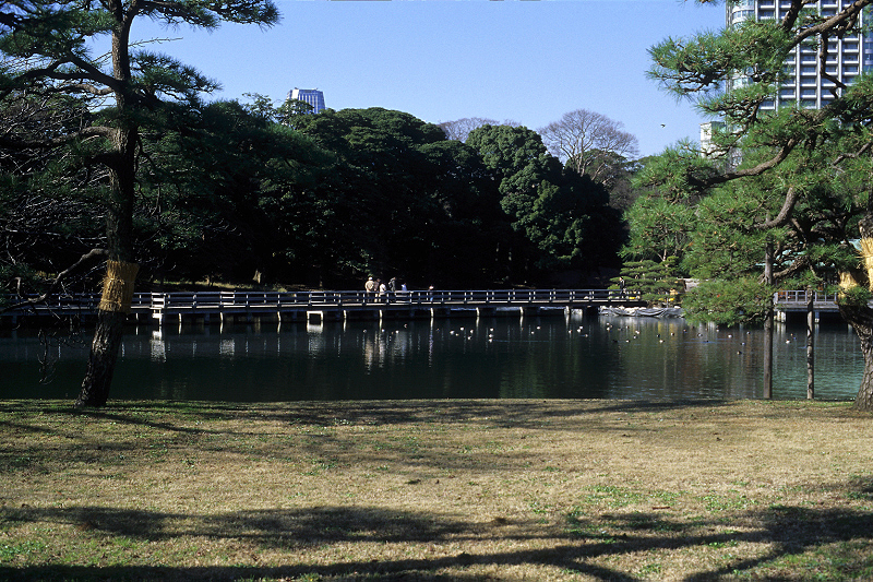 image0027