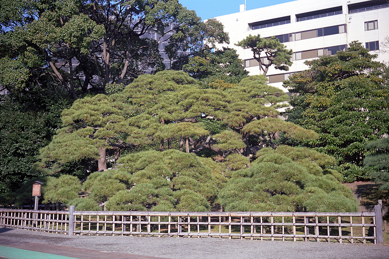 image0067