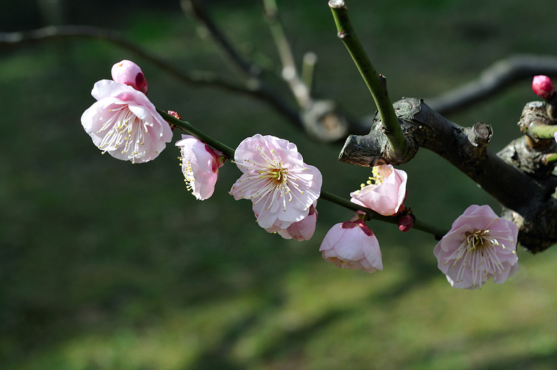 image0117