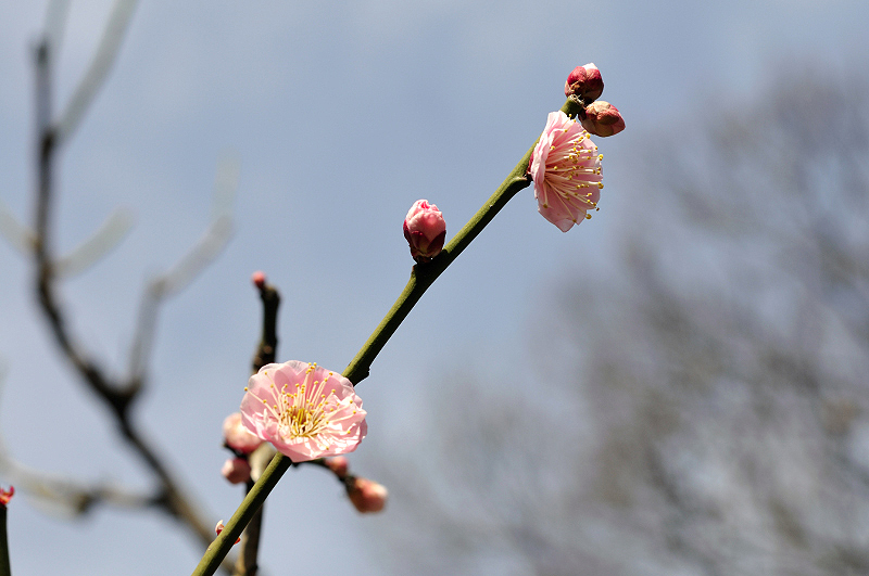 image0128