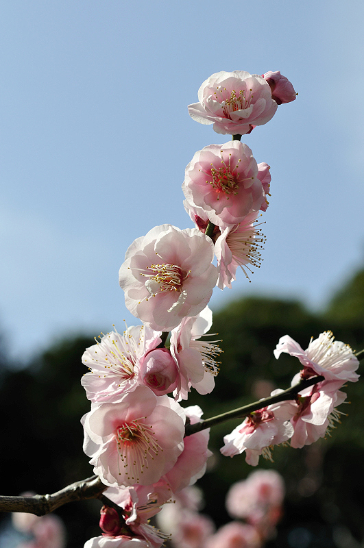 image0129