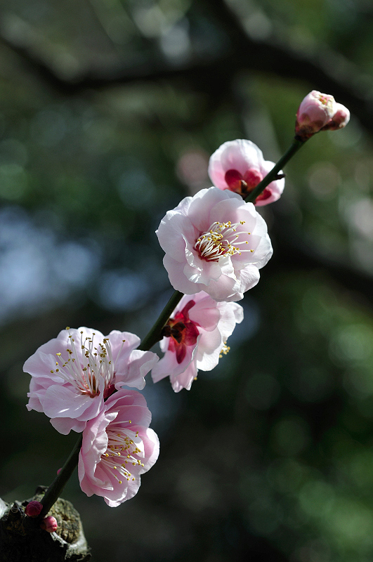 image0131
