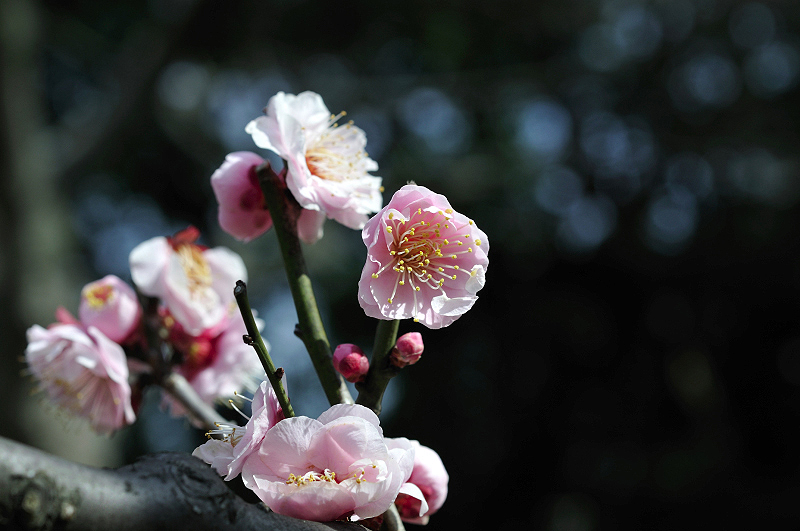 image0133