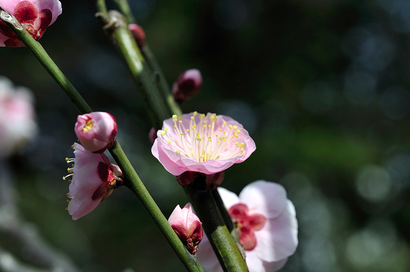 image0134