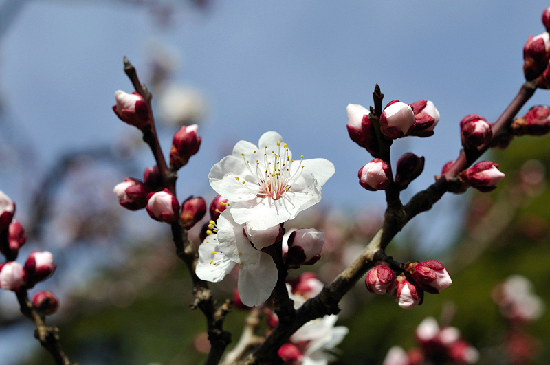 image0136