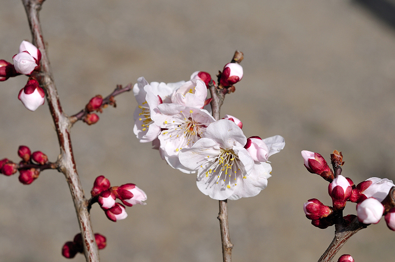 image0138