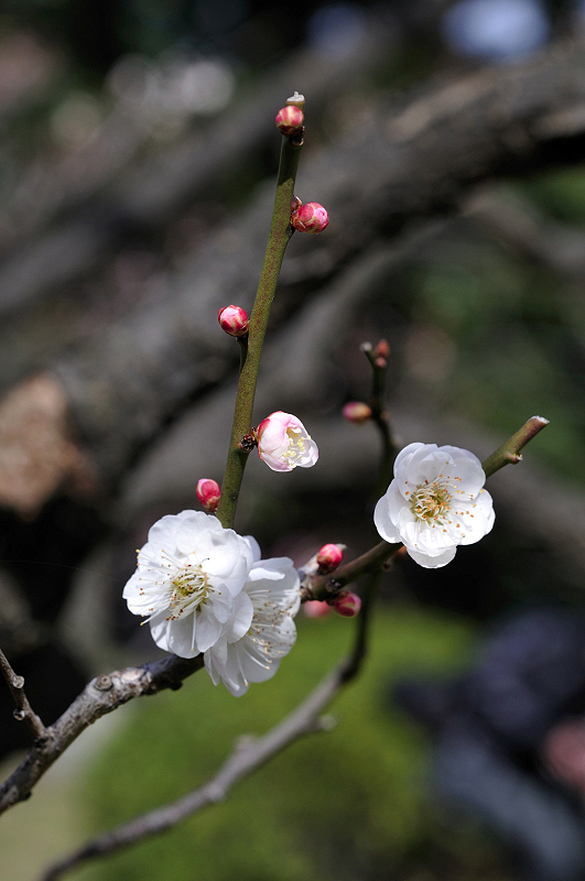 image0147