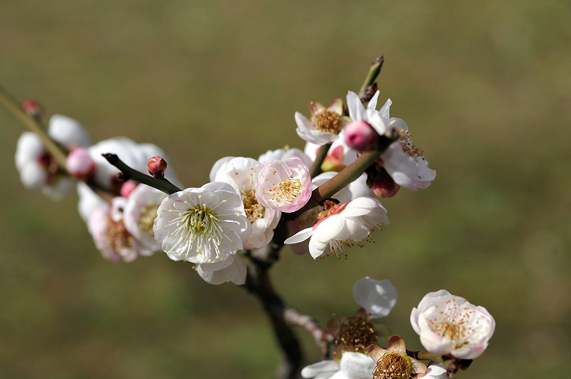 image0152