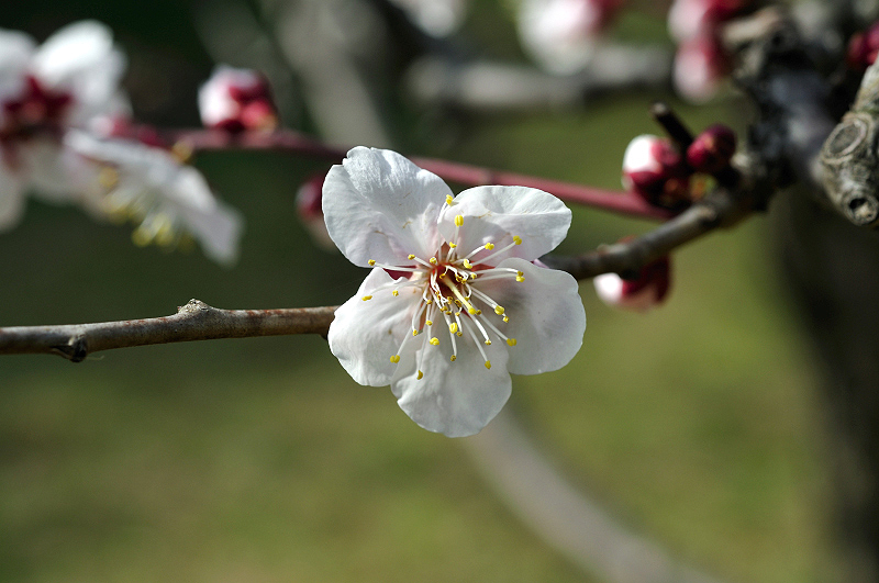 image0166