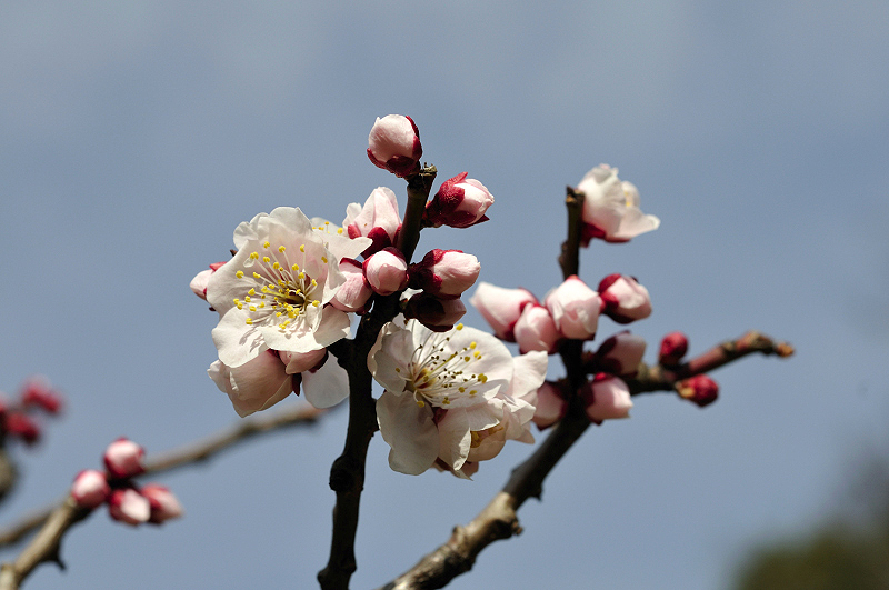 image0173