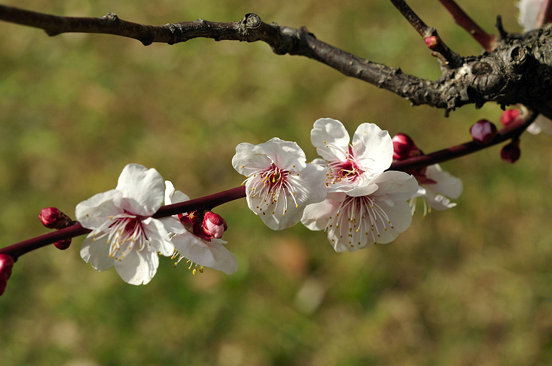 image0174