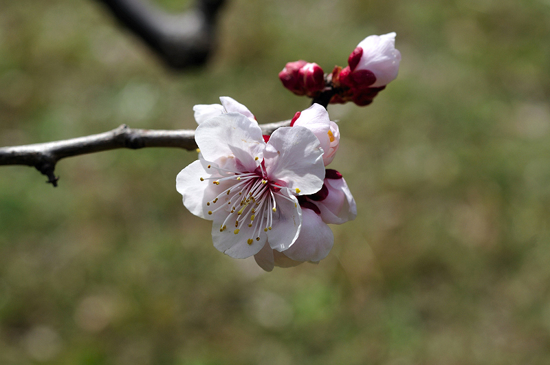 image0178