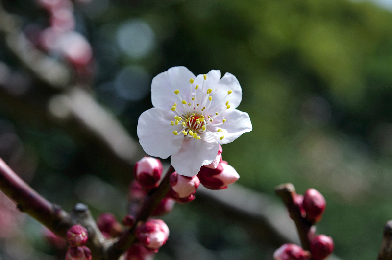 image0181