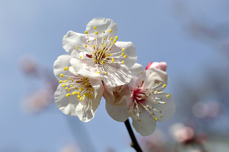 image0186