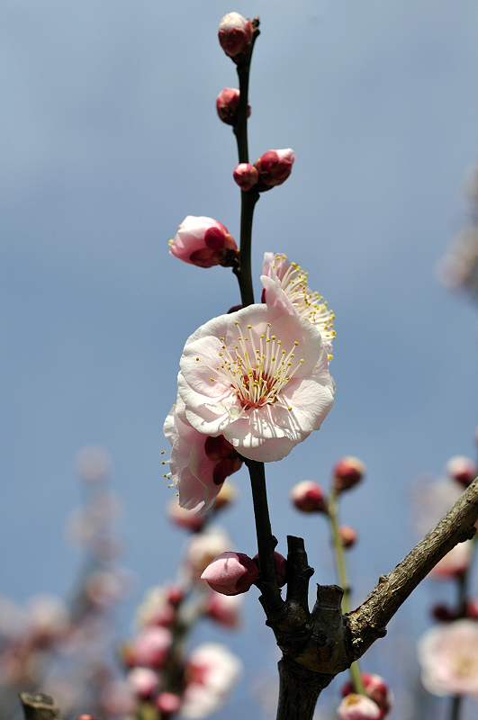 image0198