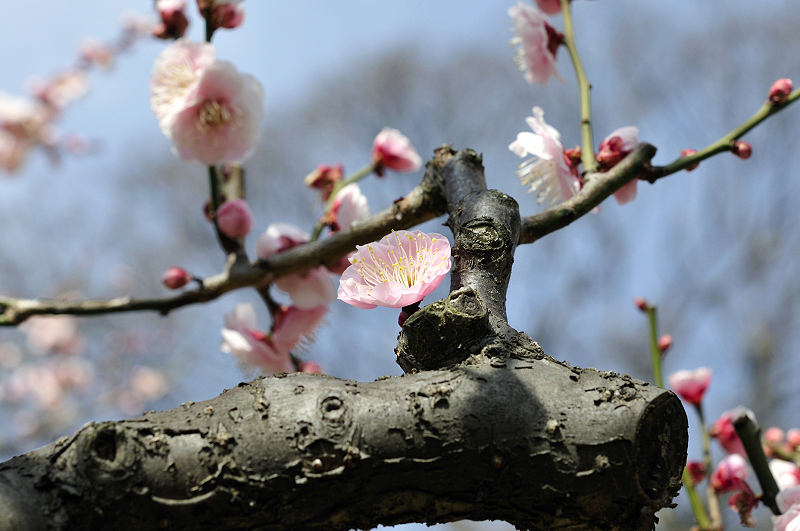 image0205