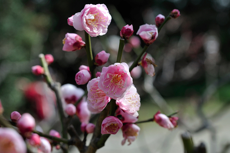 image0208