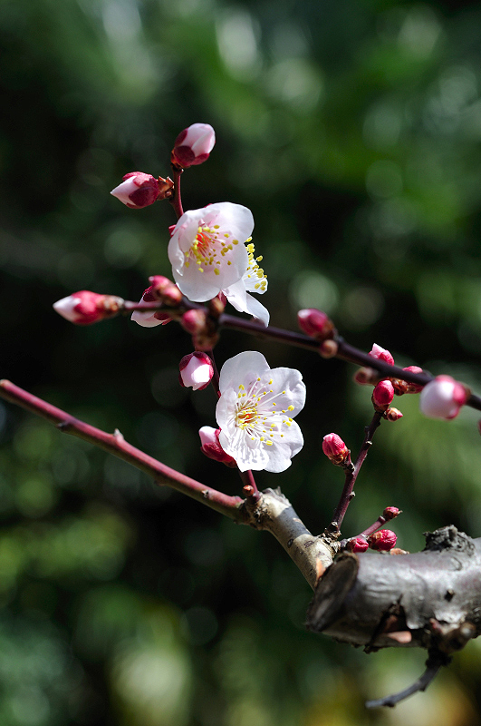 image0218