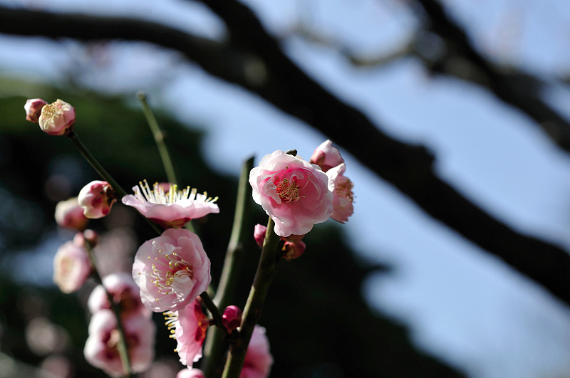 image0220