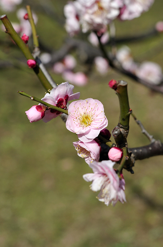image0224