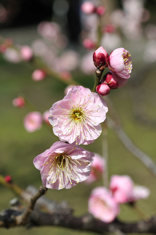 image0225