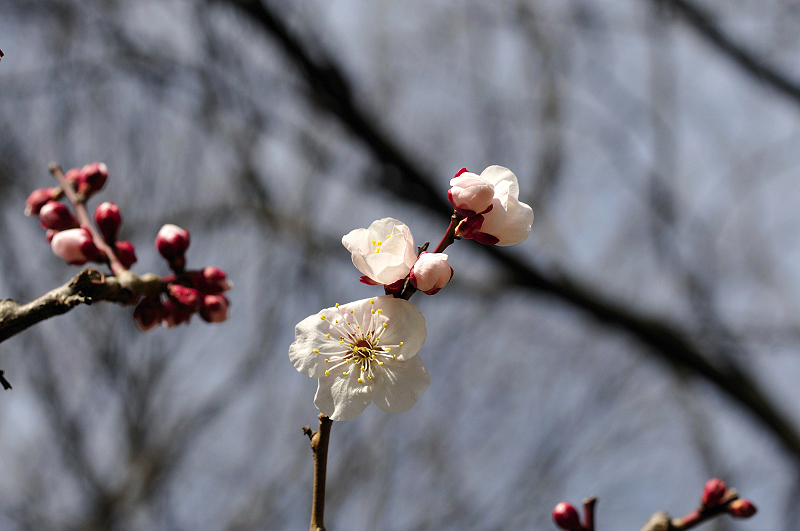 image0229