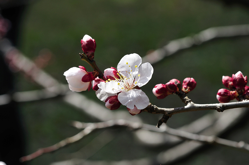 image0230