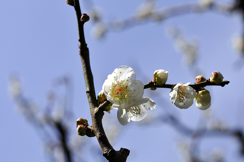 image0234