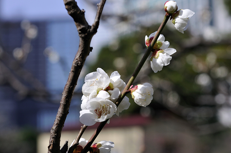 image0235