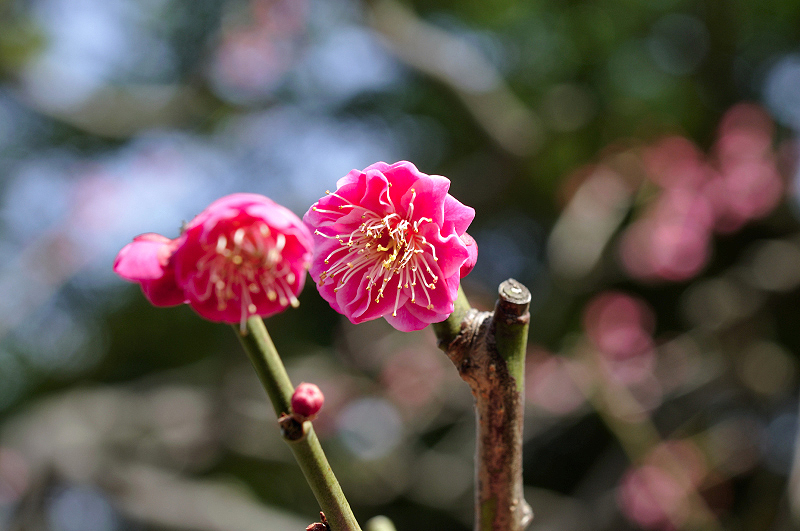 image0240