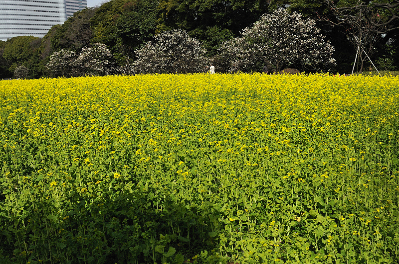 image0243