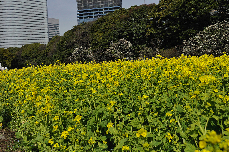 image0248