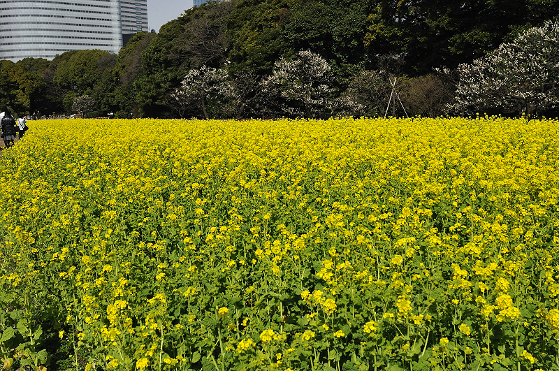 image0249
