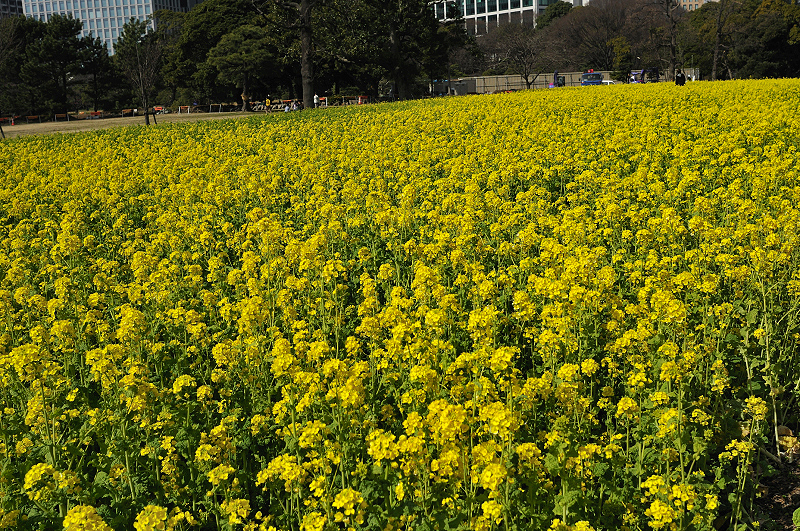 image0250