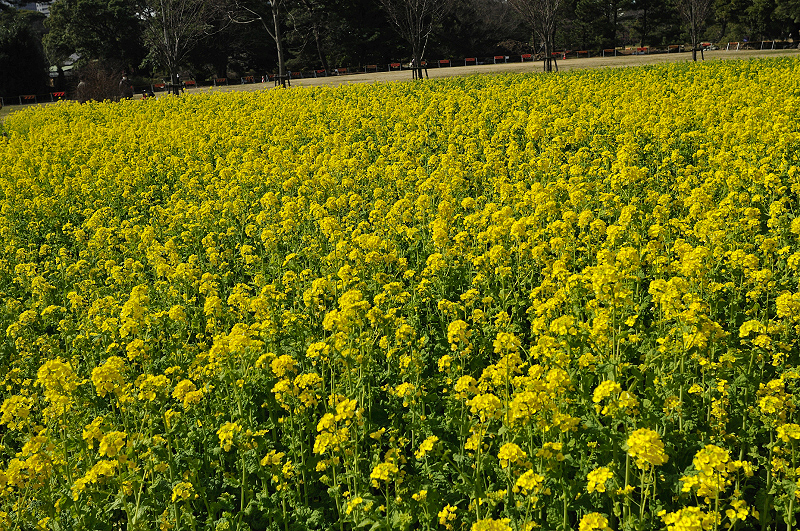 image0251