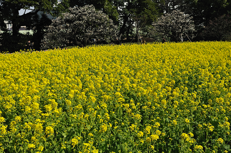 image0254