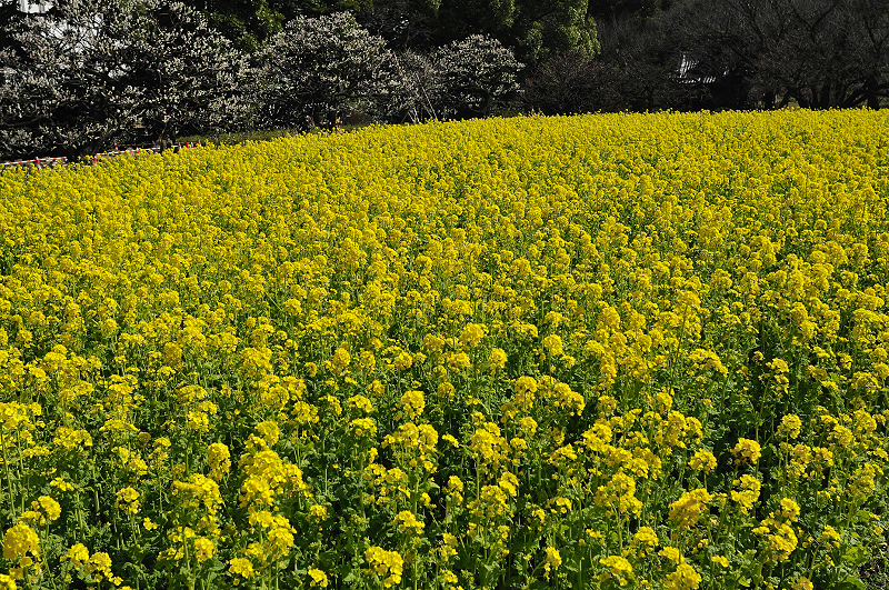 image0255