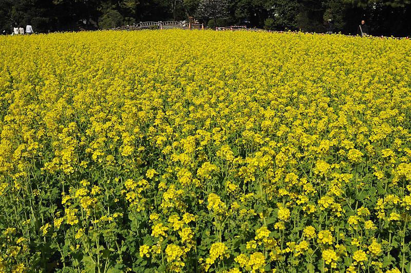 image0256