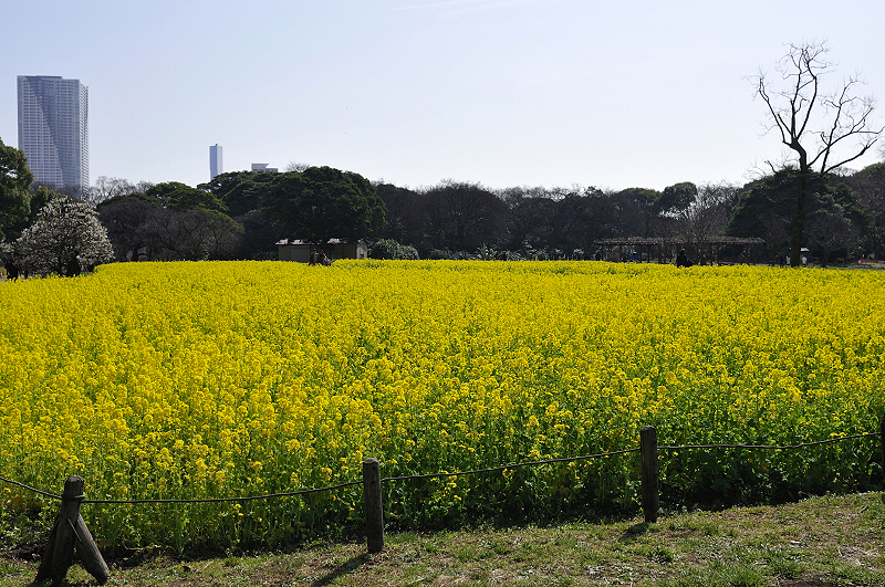 image0260
