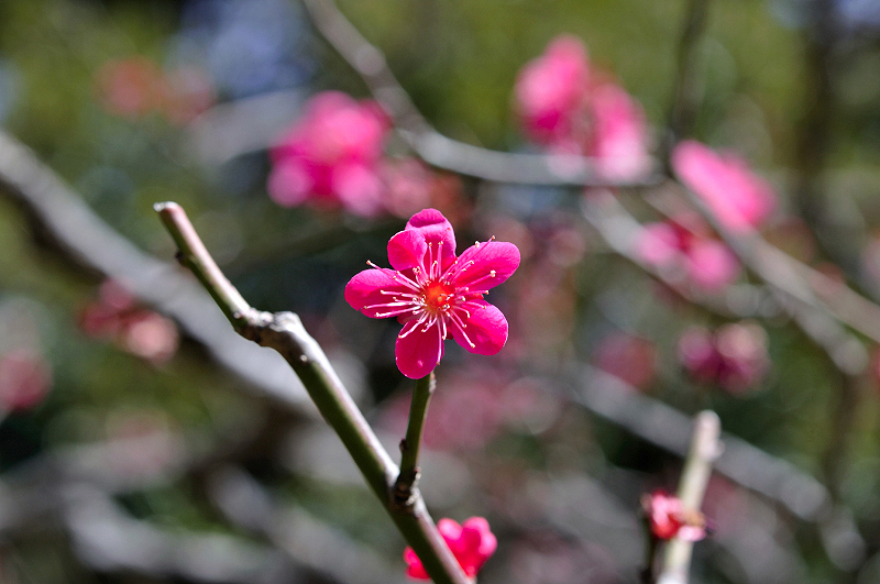 image0263