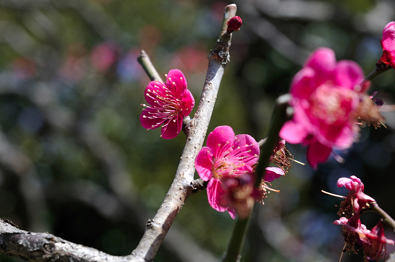 image0265