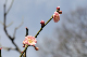 image0128