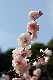 image0129