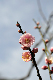 image0130