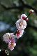image0131